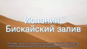 10 мест, где можно увидеть китов