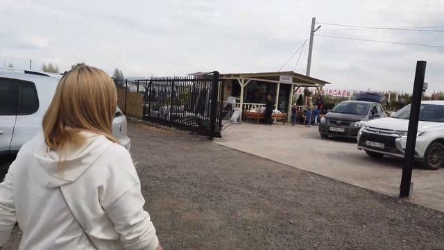 Растения для сада ПИТОМНИК ОБЗОР ЦЕН 2021 Какие декоративные растения посадить в саду ? смотреть онлайн