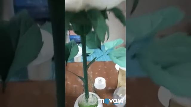 Мини-торшер на НОВОМ плафоне, обзор материалов. смотреть онлайн