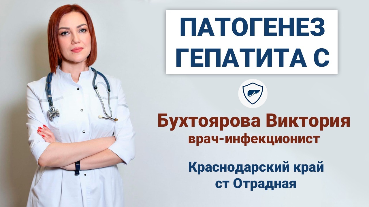 Патогенез гепатита С __ Как гепатит попадает в организм __ Реакция иммунной сист смотреть онлайн