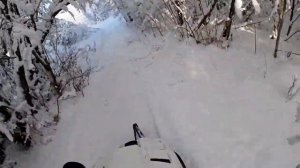 снегоход Буран АДЕ прогулка по заснеженному лесу
