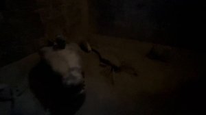 Кабардинка пешком за один день