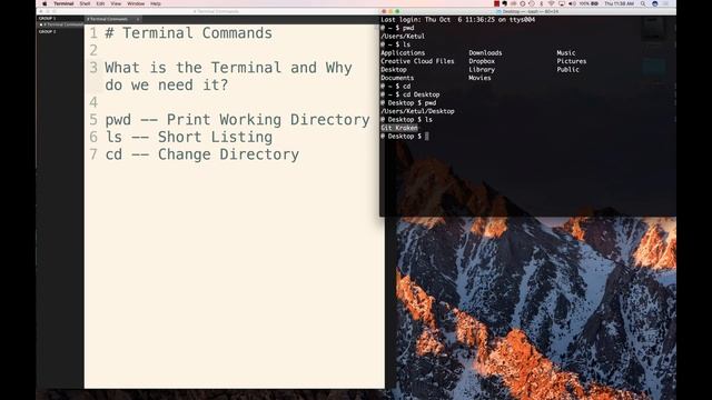 Learn Git by Doing: A step-by-step guide to version control : Basic Terminal Commands смотреть онлайн