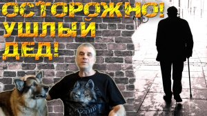 Предупреждение начинающим коллегам кинологам / Кинология / Зоопсихология / Дрессировка