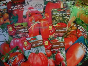 Обзор семян томатов. Что такое детерминантные и индетерминантные томаты, все плюсы и минусы. Часть 1
