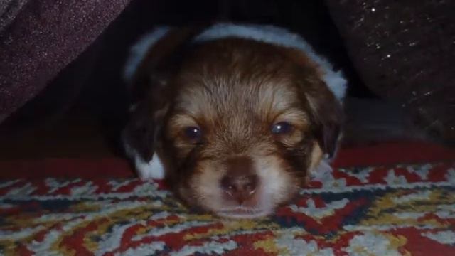 Прикольные фото Рича смотреть онлайн