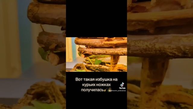 Поделка «Избушка на курьих ножках».