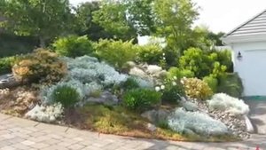 50 примеров альпийской горки на любой вкус