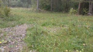 Поставы. Курсевичи. Бывший 3-й дивизион 346-го РП РВСН. Часть 1