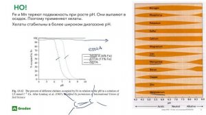 Минеральное питание растений. Часть 1.2