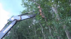 Уничтожитель деревьев - мульчер Ferri на экскаваторе