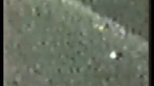 Откуда же появились компьютеры?! смотреть онлайн