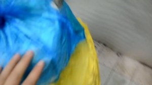 Грибы на кортоне вешенка