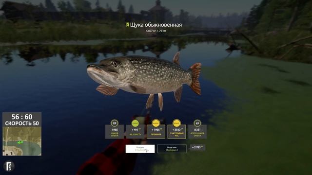 Где ловить Окуня на оз. Старый Острог? Рабочая точка - Русская Рыбалка 4 смотреть онлайн