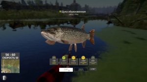 Где ловить Окуня на оз. Старый Острог? Рабочая точка - Русская Рыбалка 4