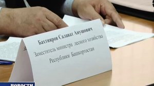 Закон о валежнике