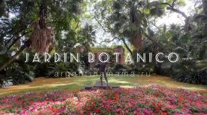 Буэнос-Айрес, Ботанический Сад / Buenos Aires, Jardín Botánico