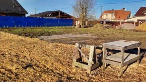 Маточник растений|Строим питомник хвойных растений с 0