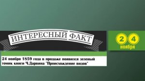 24 Ноября. Этот День В Истории.