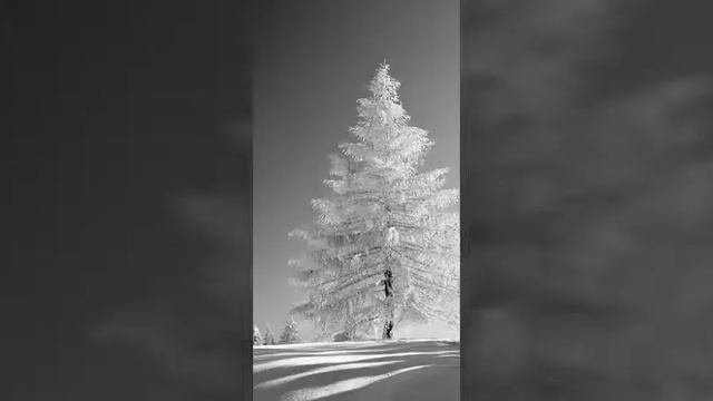 Новогодние игрушки свечи и хлопушки смотреть онлайн