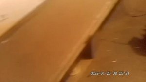 Правила зимнего содержания индоуток