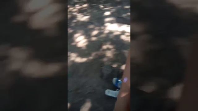 Как надо качаться на тарзанке???