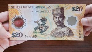 #45. Пополнение в коллекцию полимерных банкнот 25 марта