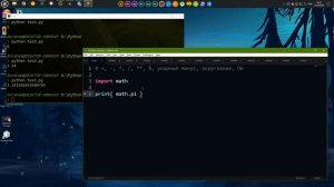 Язык программирования. Учим Python за 1 час!