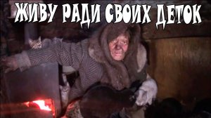 Бабушка Галя со своими 15 детками умирает в своём сарае !!! Эти условия не для жизни !!!