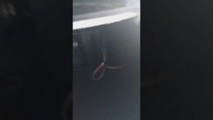 Подключение сабвуфера к ммс 2190 приора люкс