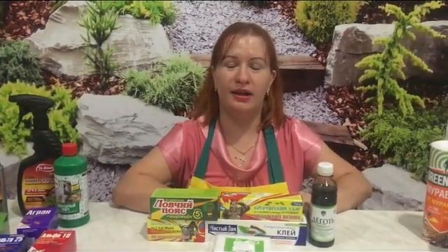 МУРАВЬИ ИСЧЕЗНУТ С ВАШЕГО УЧАСТКА! Методы защиты и как бороться с муравьями смотреть онлайн