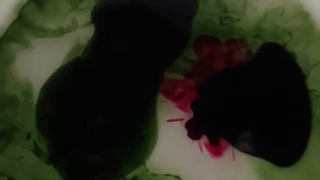Одуванчик из шелка. Авторский МК Нуржамал Сапаргалиевой