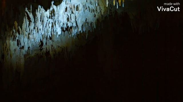 доктор ливси плоходить backrooms смотреть онлайн