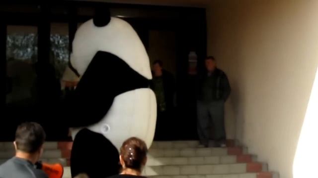 Панда-Кукла 4ч. смотреть онлайн