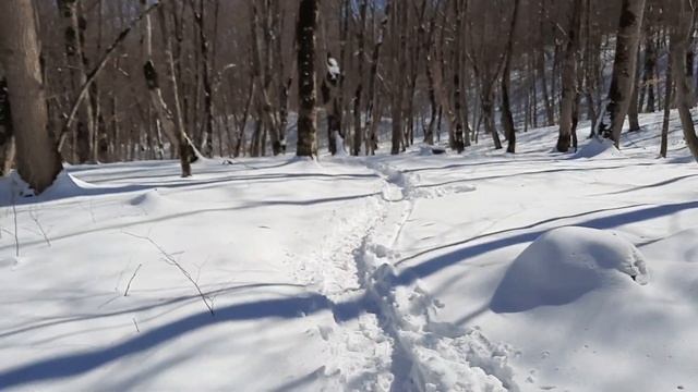 поход на майкопский водопад, речка майкопка. 13.03.2021 Республика Адыгея