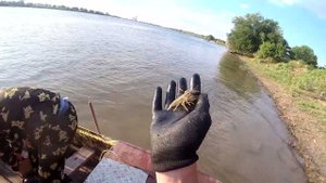 Проверяем Раколовки  гармошки в Астраханской Области Река волга