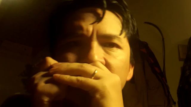 Bonny B. sing & plays Harmonica ( trhough god's eyes ) Blues смотреть онлайн