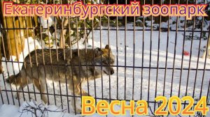 ЕКАТЕРИНБУРГСКИЙ ЗООПАРК 🐘 ВЕСНОЙ 2024 🐯