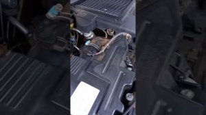 P0046 fault was MAP sensor filter on 120 Prado