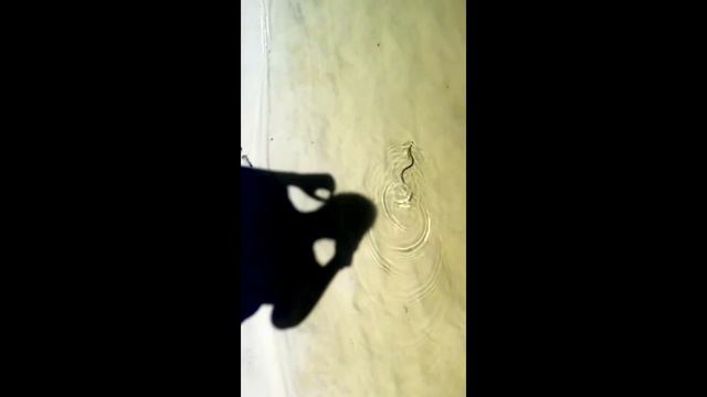 Маленький уж на пляже смотреть онлайн