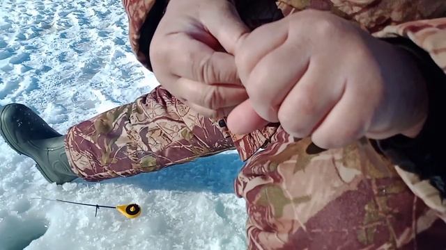 Рыбалка на реке Дон в Воронежской области. Март, последний лёд. смотреть онлайн