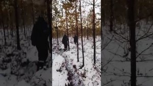 Зимняя охота на медведя, идём на берлогу 12.12.20 г.?
