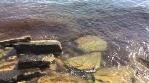 Что происходит с температурой морской воды в районе Геленджика?