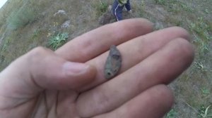 КОП ПО СТАРИНЕ/НАХОДКИ В МОРДОВИИ/НАШЛИ ЧЕШУЙКУ!!!