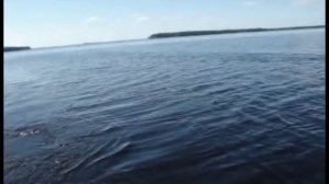 ловля на катюшу