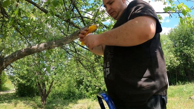 Начало положено Стремление к мечте.Дом в деревне. ЧАСТЬ 1 #жизнь_в_селе#начало#стремление_к_мечте
