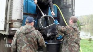 03 05 2015 Очередные пробные зарыбление в Светлых горах