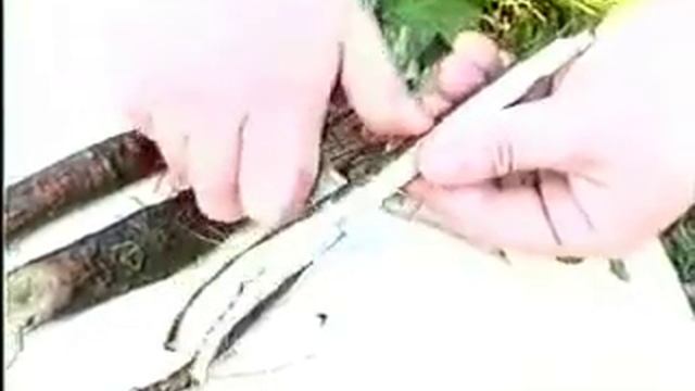 лопух смотреть онлайн