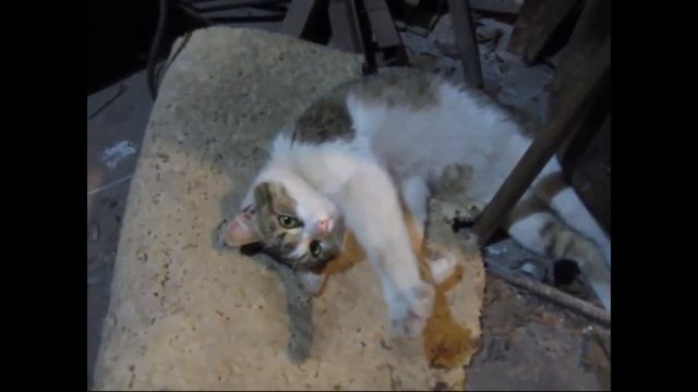 Кузя и бубафоня смотреть онлайн