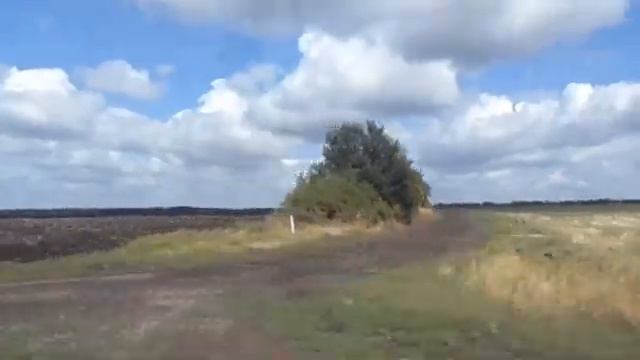 Природа - творец всех творцов смотреть онлайн